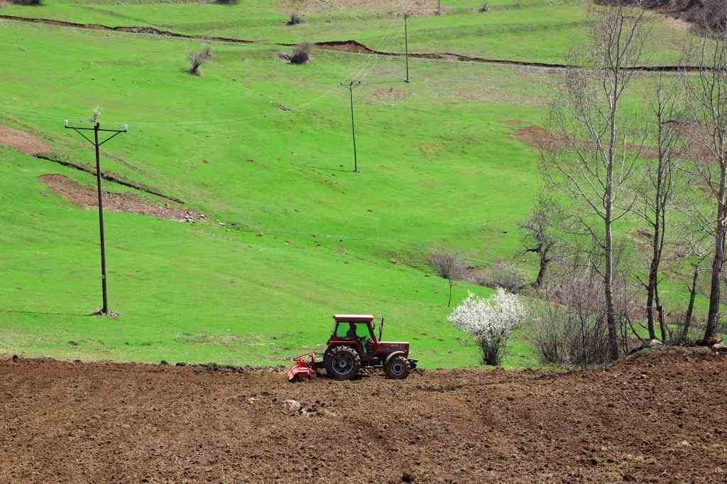 ORDU’DA ATIL ARAZİLER TARIMLA BULUŞUYOR